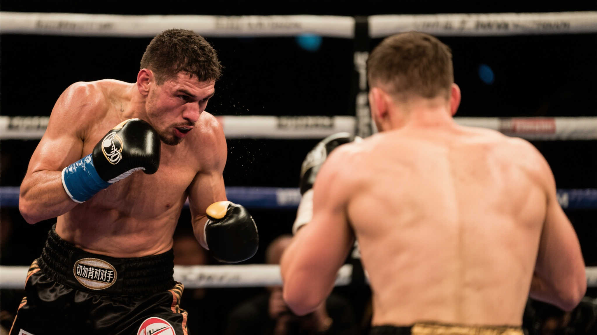 德佩的灵感 德佩的灵感