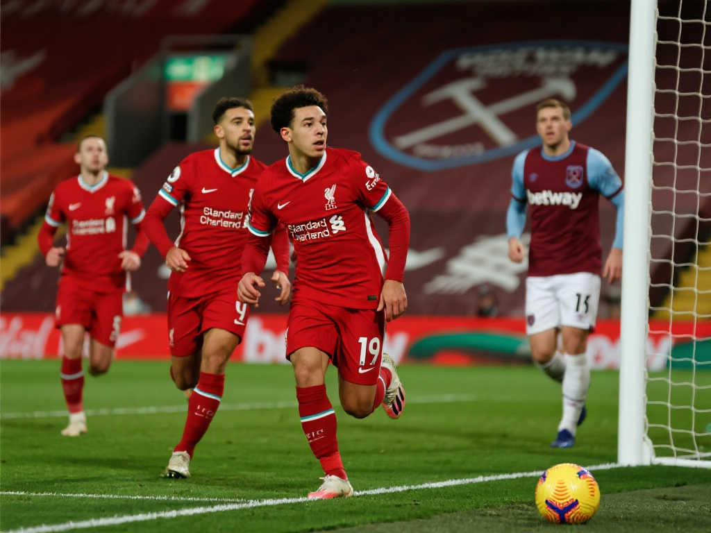 示出了对雪 示出了对雪